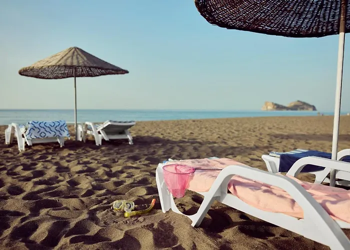 Tui Blue Tropical ホテル